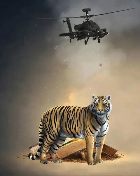 Tiger Standing PicsArt Editing Background Full HD Download