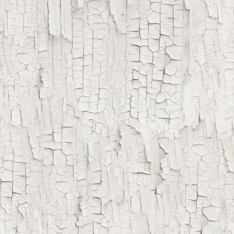 Tree Bark Texture HD Background