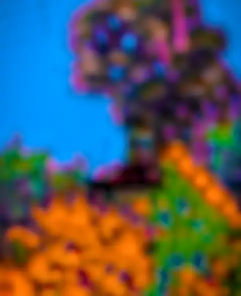 Tree Blur Picsart Background Full HD Download