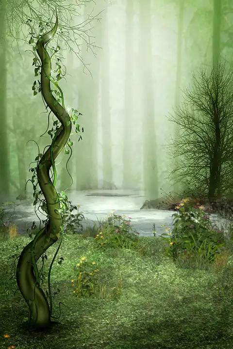 Tree Forest Outdoor Studio Background HD Download