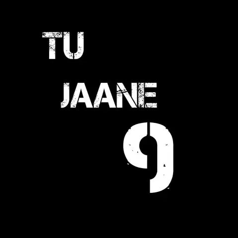 Tu Jaane Na English Hindi Text PNG Images Download