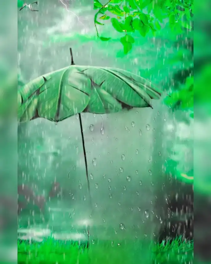 Umbrella CB Photo Editing Background HD Download