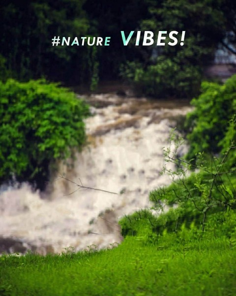 Vijay Mahar Nature Background