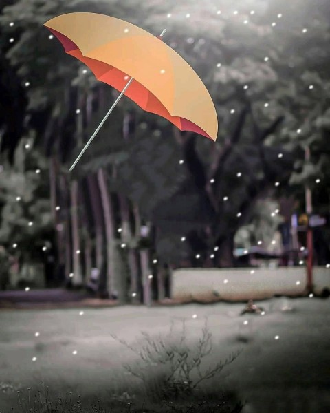 Vijay Mahar UmbrellaBackground