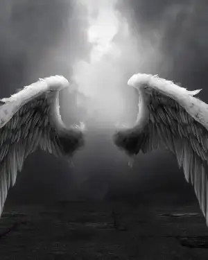 White Angle Wings CB Background Download HD