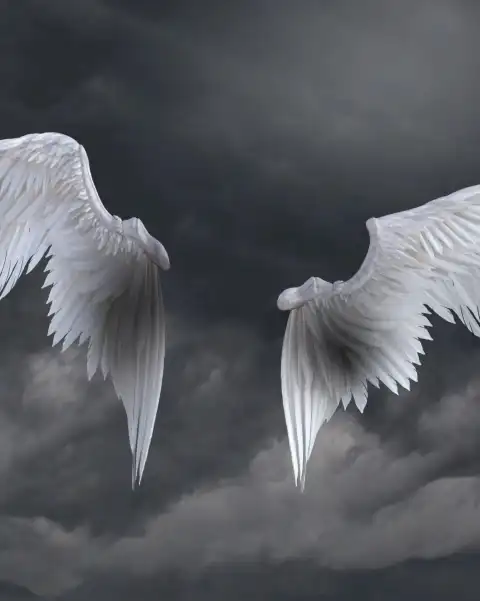 White Wings Photo Editing Background For Picsart