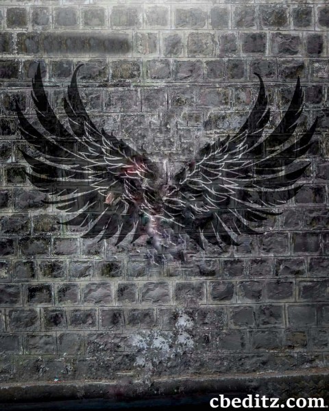 Wing On Wall CB Editing Background