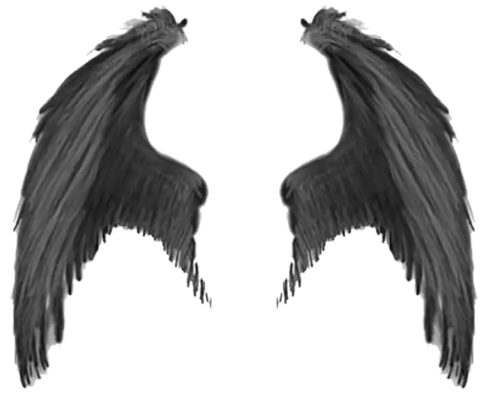 Wings Black Devil HD PNG Images Download