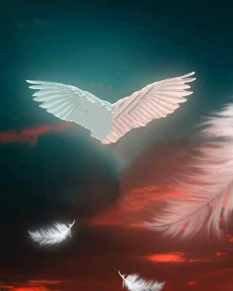 Wings CB Background Download