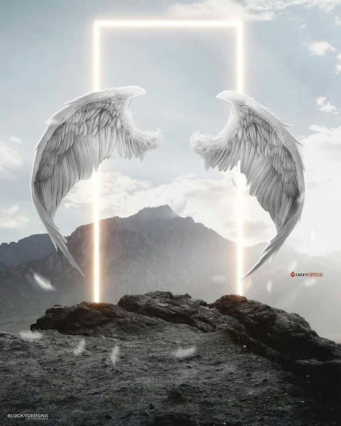 Wings Photo Editing Background HD Download