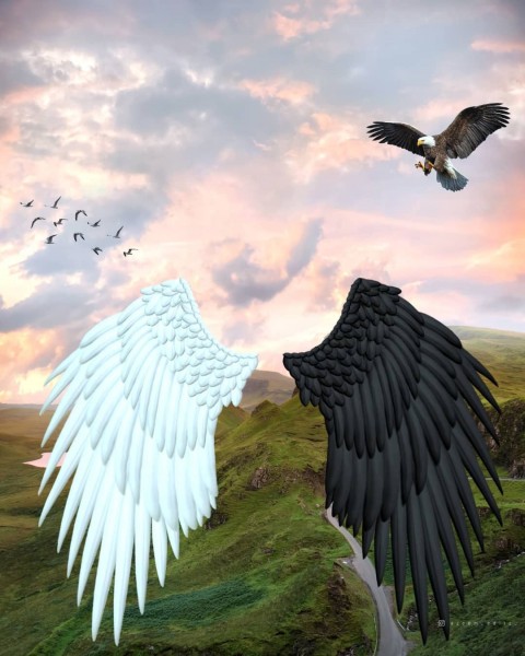 Wings PicsArt CB Editing HD Background Download