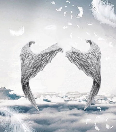 Wings Snapseed Background Full Hd