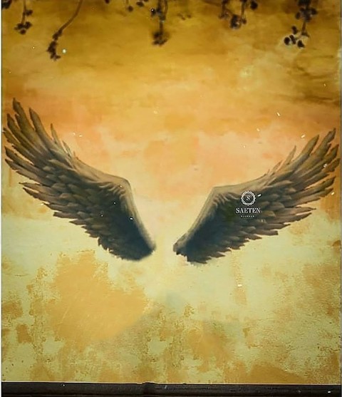 Wings Snapseed Background Full Hd