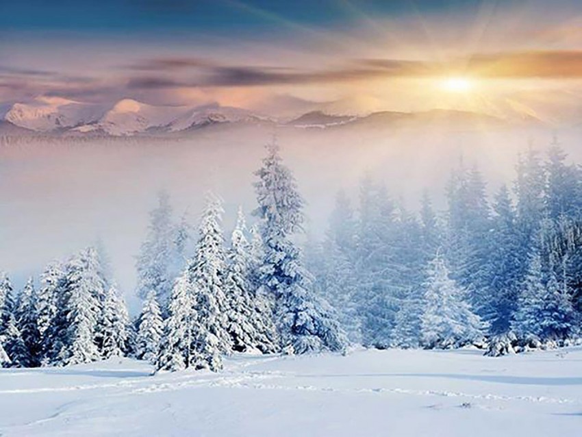 Winter Merry Christmas Tree CB PicsArt Editing Background
