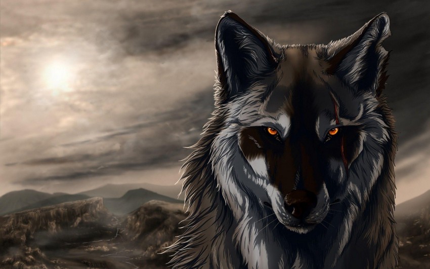 Cool Wolf Background Full HD Wallpaper Download