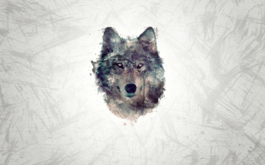 Wolf Head Background Full HD Wallpaper Download