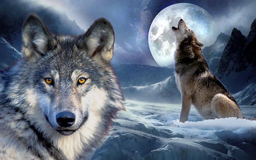 Wolf Moon Background Full HD Wallpaper Download