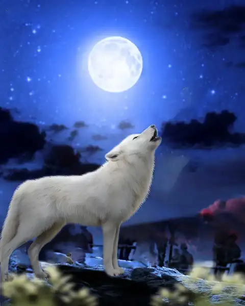 Wolf Night Moon CB Editing Background Full HD Download