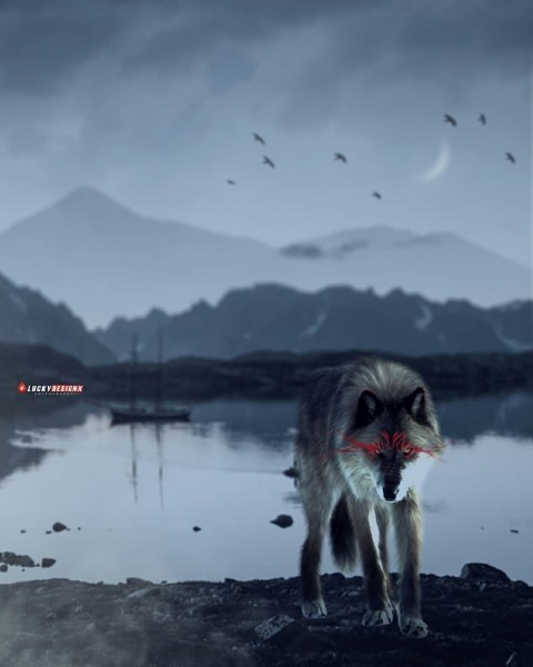 Wolf Photo Editing Background HD Download