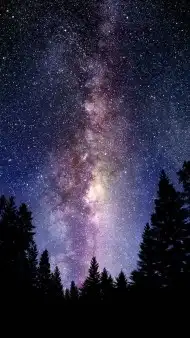 Cover Photo of Galaxy Tree Background