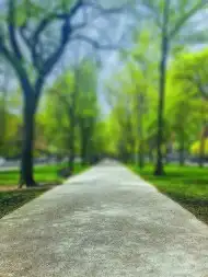 Cover Photo of Park Editing Background