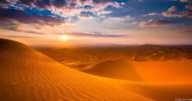 Cover Photo of Sahara Desert Background