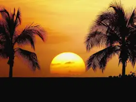 Cover Photo of Sunset Beach Background