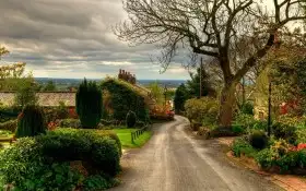 Cover Photo of Village Road Background
